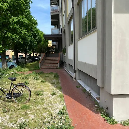 Gabe チェゼーナ